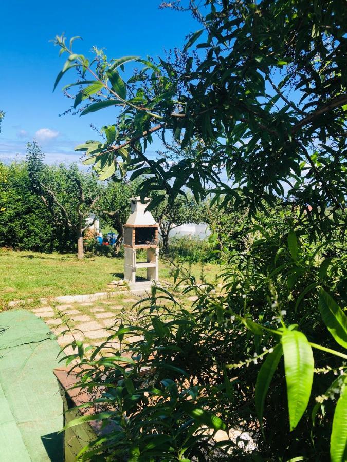 فيلا Camelia Casina Rural Albuerne المظهر الخارجي الصورة