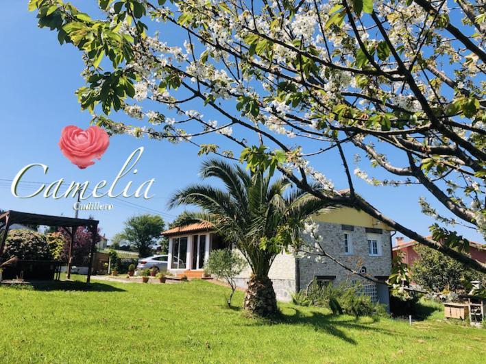 فيلا Camelia Casina Rural Albuerne المظهر الخارجي الصورة